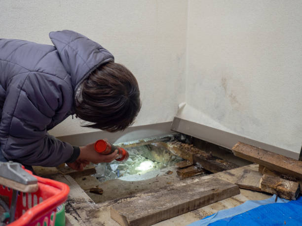 Best Mold Remediation for Healthcare Facilities  in Apple Valley, OH
